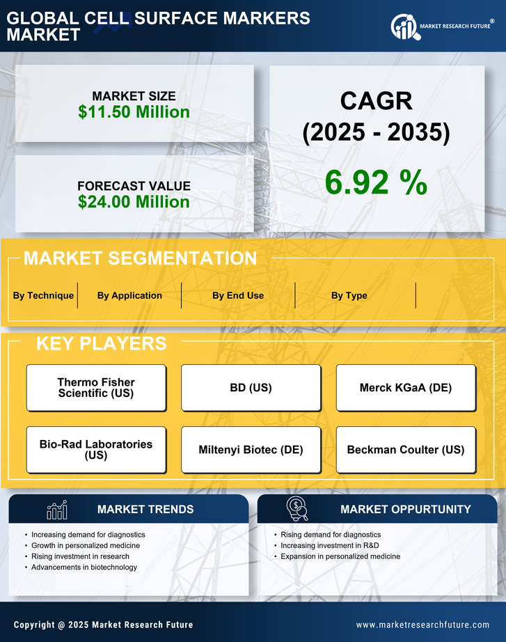Italy Cell Surface Markers Market Research Report-Forecast to 2035 Infographic