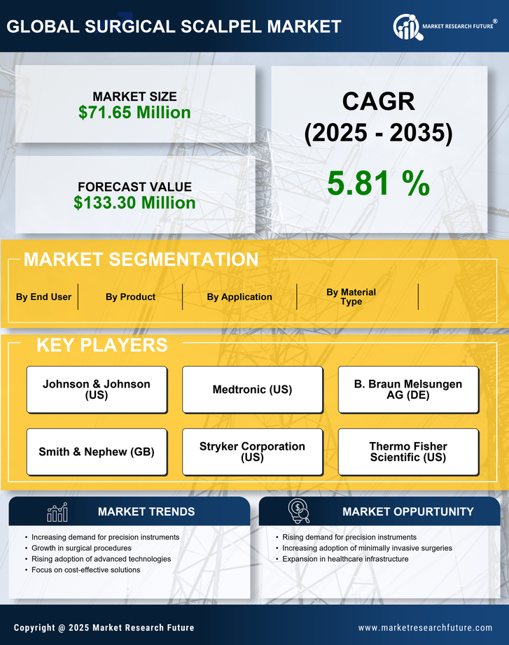 South America Surgical Scalpel Market Research Report — Global Forecast till 2035 Infographic