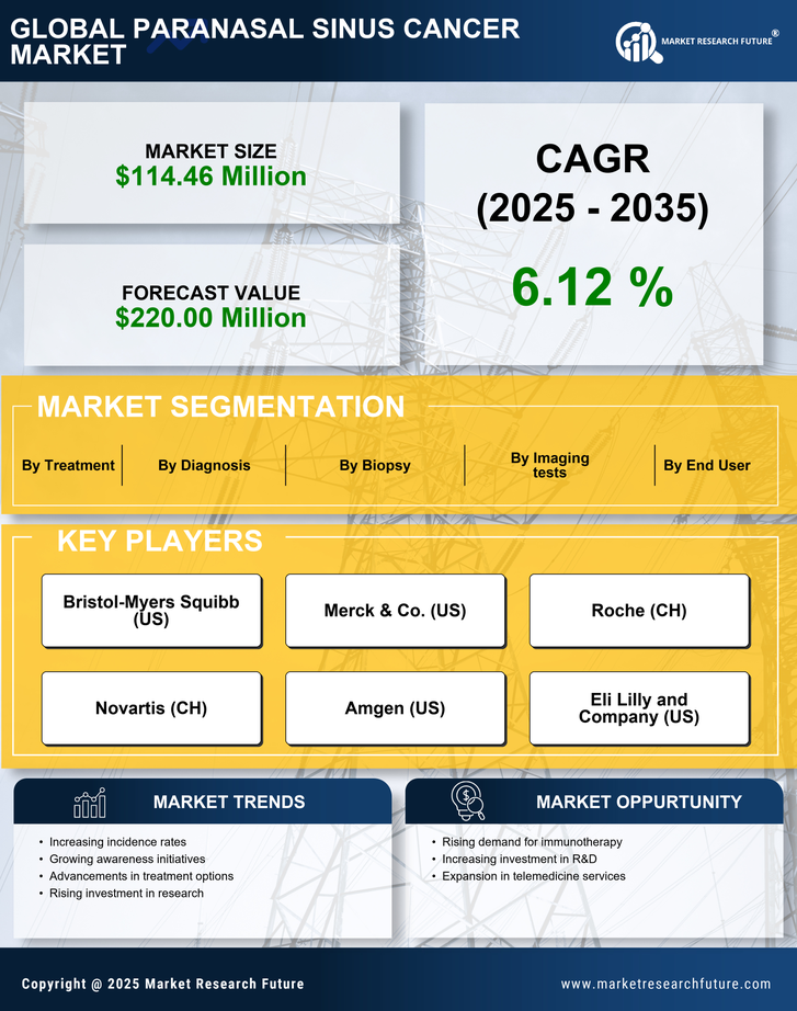 South America Paranasal Sinus Cancer Market Infographic