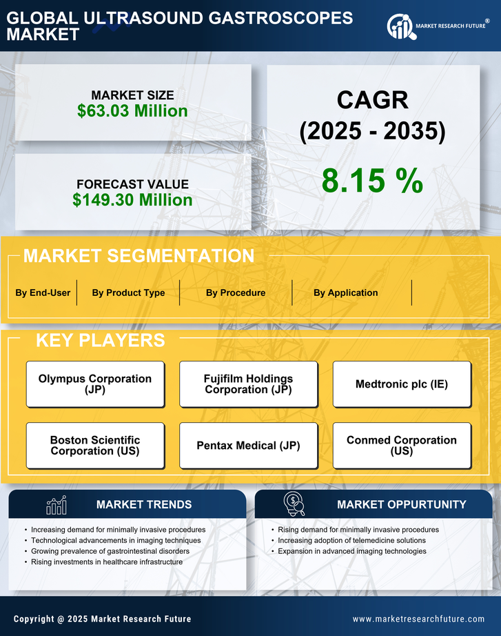 Germany Ultrasound Gastroscopes Market Research Report - Forecast to 2035 Infographic
