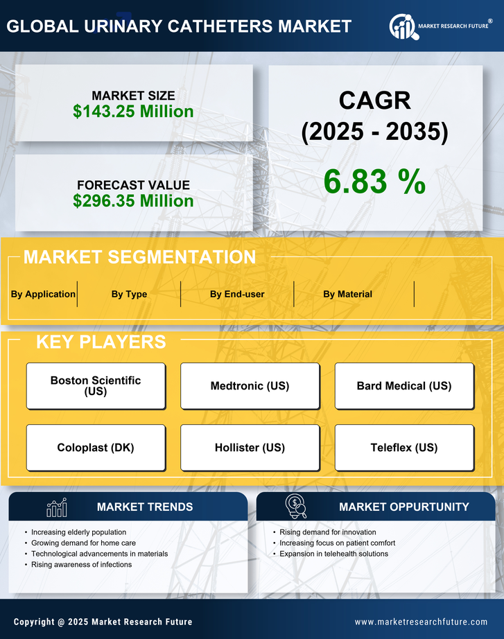 Italy Urinary Catheters Market Infographic