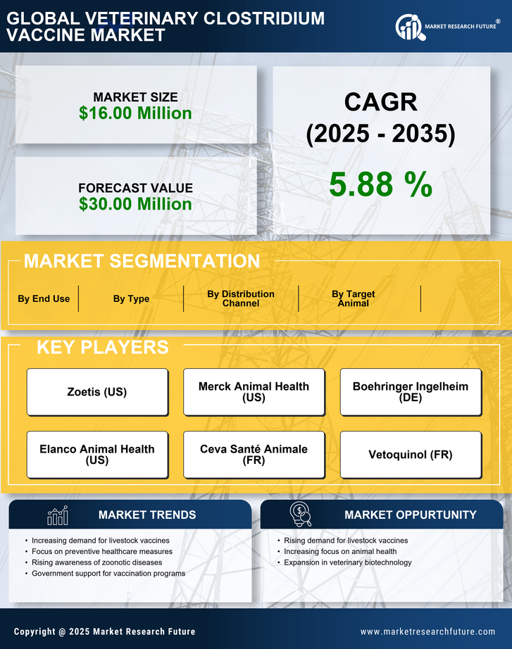 Italy Veterinary Clostridium Vaccine Market Research Report - Forecast To 2035 Infographic