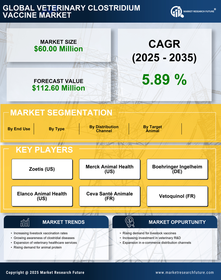 China Veterinary Clostridium Vaccine Market Research Report - Forecast to 2035 Infographic