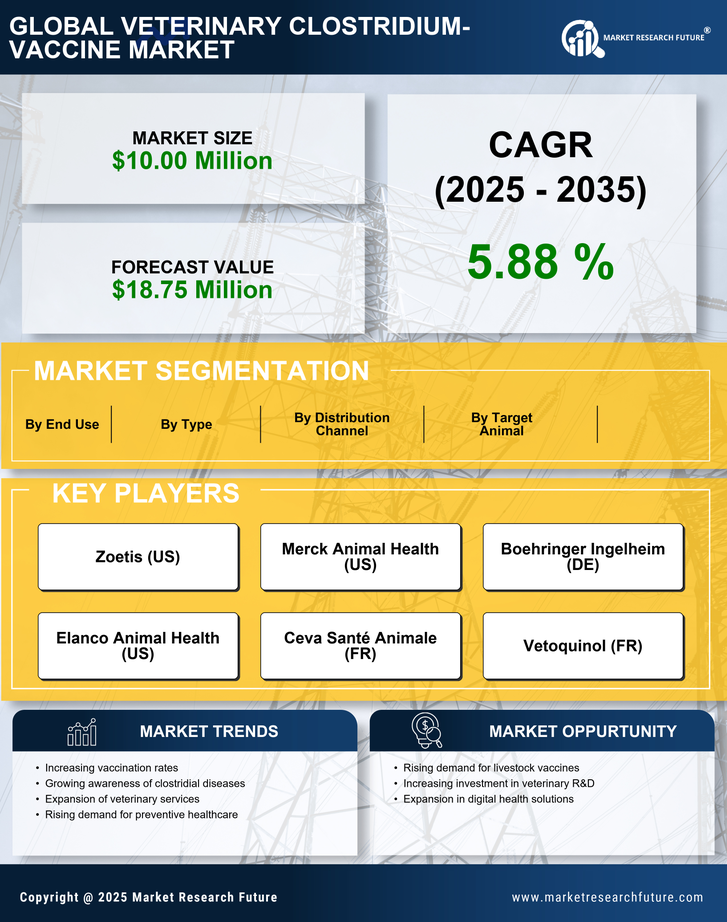 Spain Veterinary Clostridium Vaccine Market Research Report - Forecast To 2035 Infographic