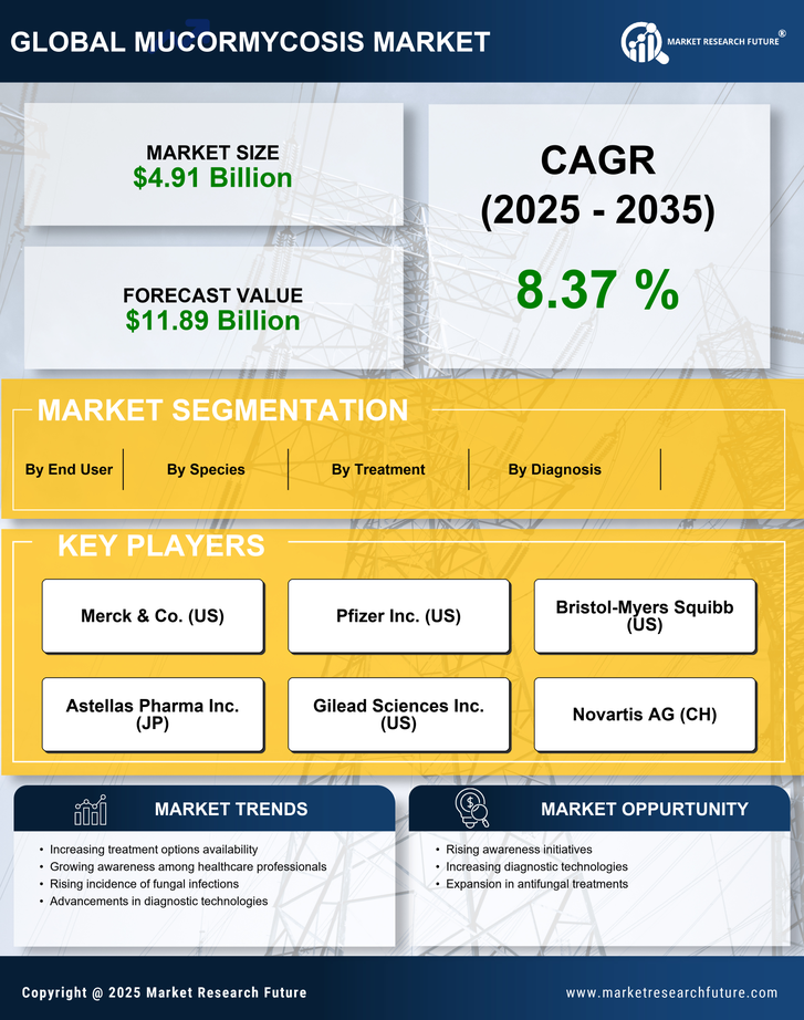 Mucormycosis Market Research Report- Forecast till 2035 Infographic