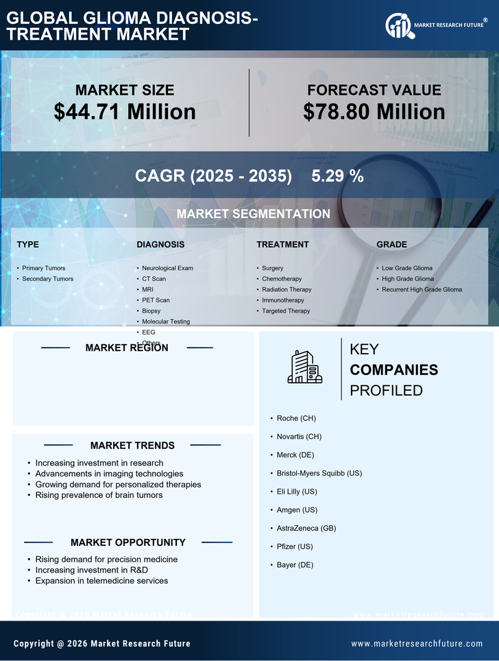 Spain Glioma Diagnosis Treatment Market Infographic