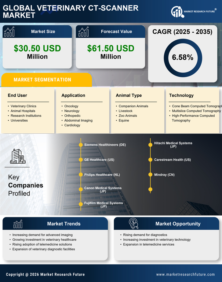 China Veterinary CT Scanner Market Infographic