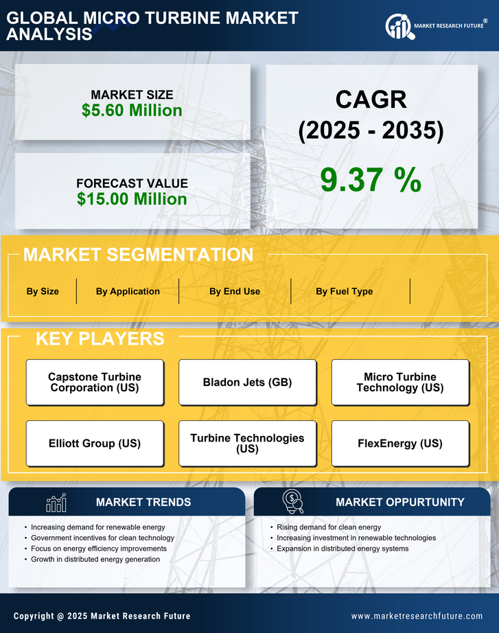 South Korea Micro Turbine Market Research Report- Forecast to 2035 Infographic
