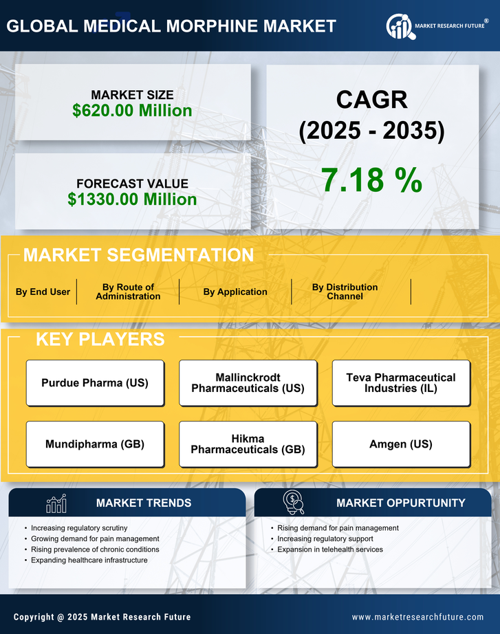 GCC Medical Morphine Market Research Report-Forecast to 2035 Infographic