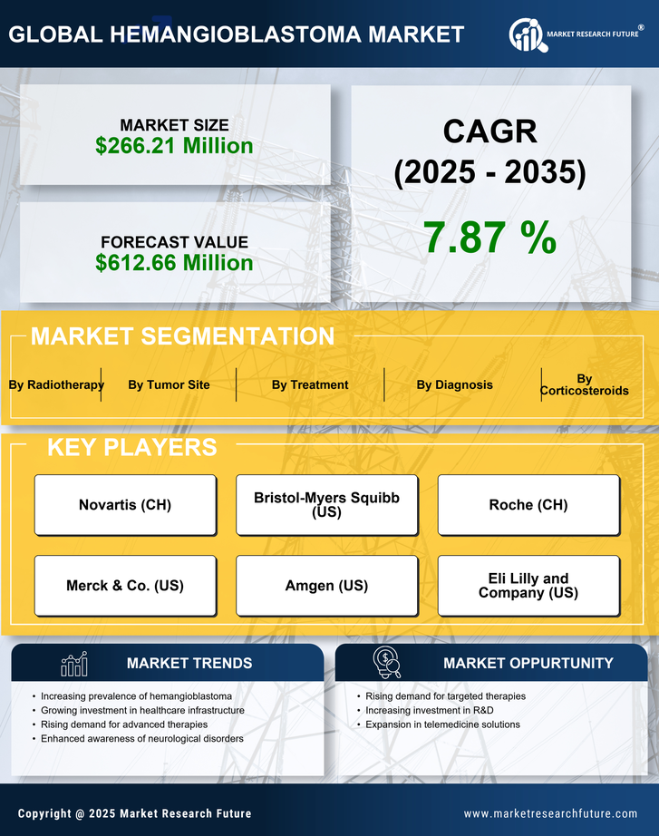 South America Hemangioblastoma Market Research Report- Forecast to 2035 Infographic