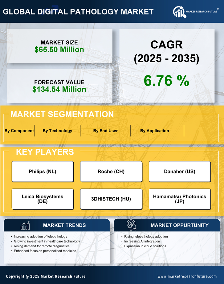 South America Digital Pathology Market Research Report-Forecast to 2035 Infographic