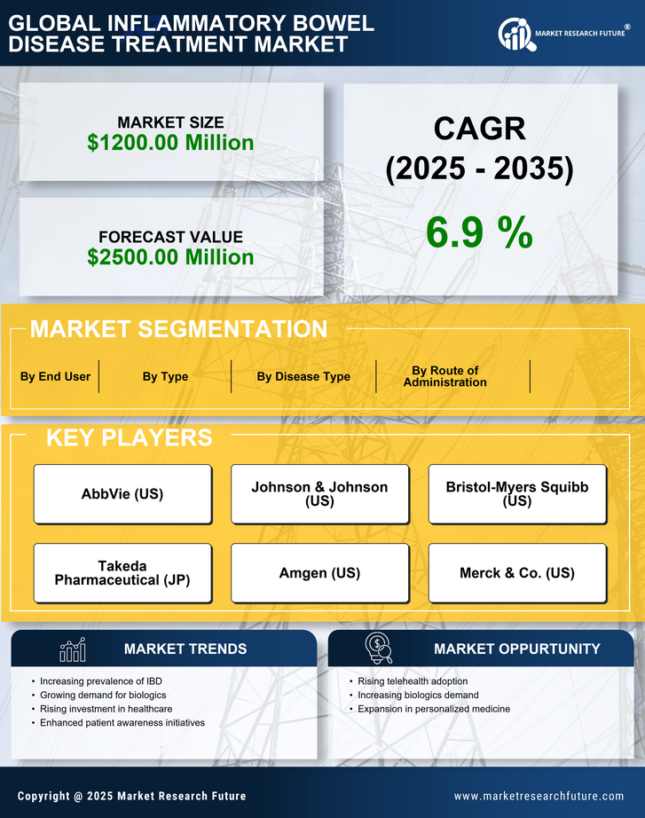 South America Inflammatory Bowel Disease Treatment Market Infographic