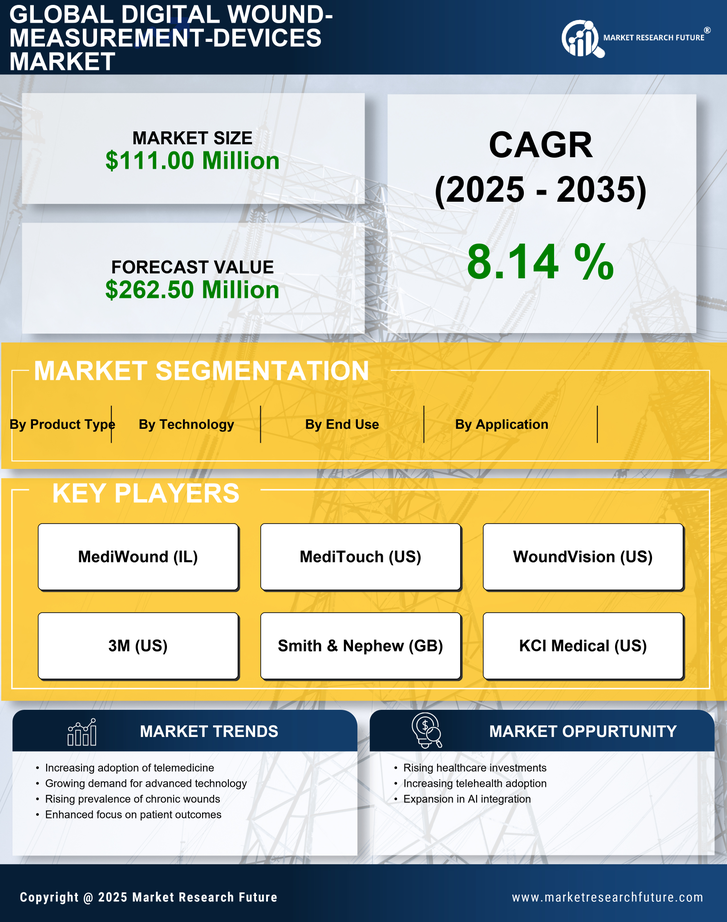 China Digital Wound Measurement Devices Market Research Report - Forecast to 2035 Infographic