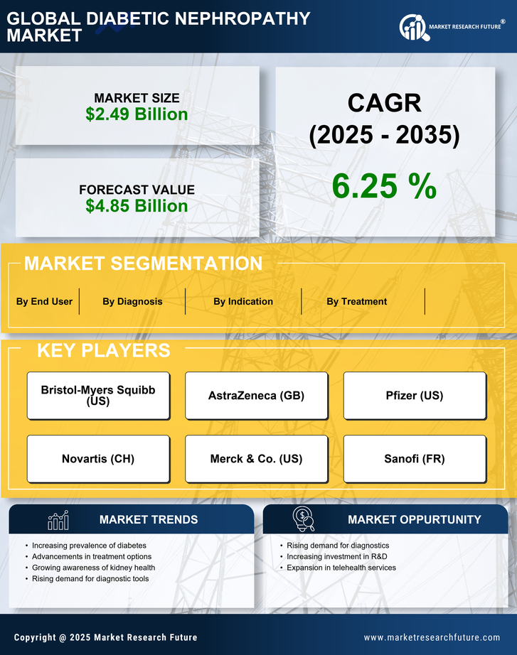Diabetic Nephropathy Market Research Report - Forecast to 2035 Infographic