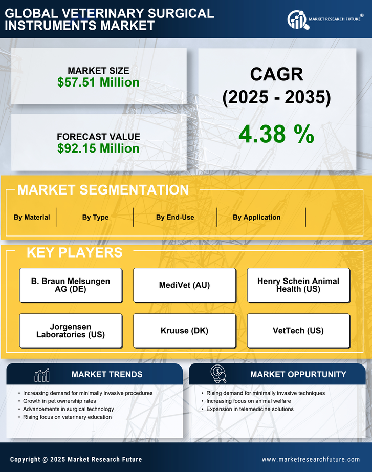 Spain Veterinary Surgical Instruments Market Infographic