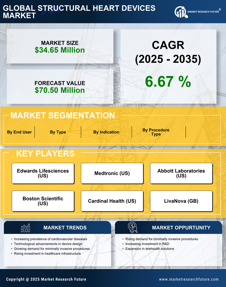 France Structural Heart Devices Market Research Report - Forecast to 2035 Infographic