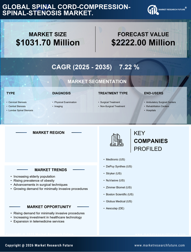 China Spinal Cord Compression Spinal Stenosis Market 
Research Report- Forecast to 2035 Infographic