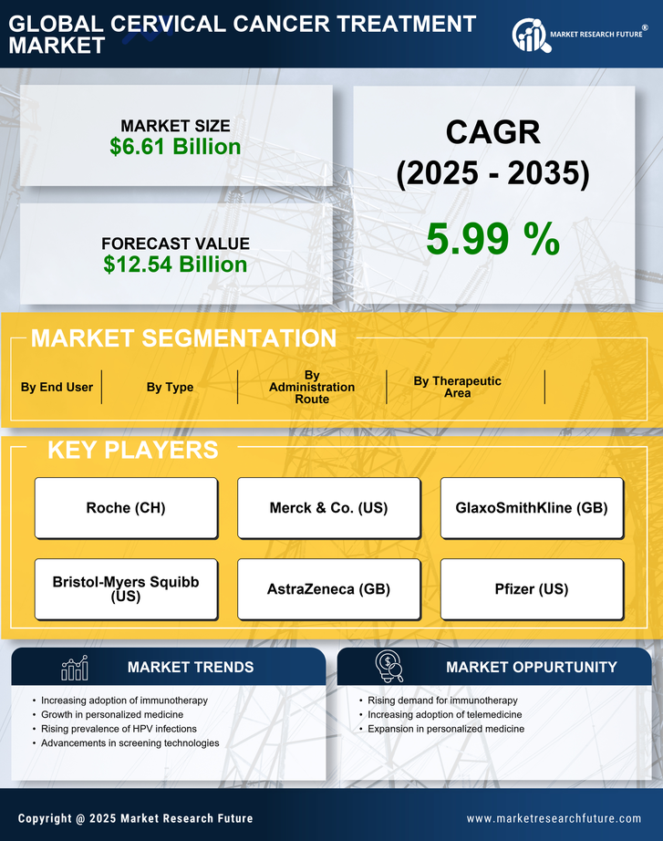 Cervical Cancer Treatment Market Research Report - Forecast to 2035 Infographic