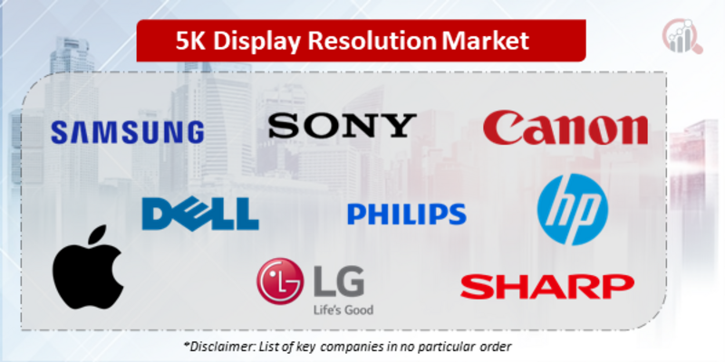 5K Display Resolution Companies