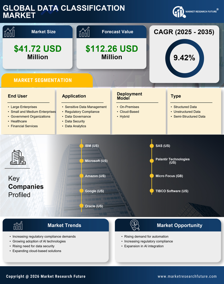 Spain Data Classification Market Research Report-Forecast to 2035 Infographic