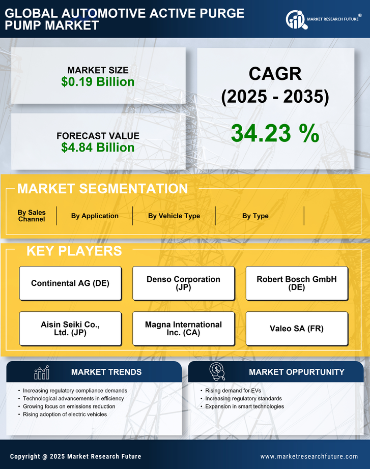 Automotive Active Purge Pump Market Research Report – Forecast to 2035 Infographic