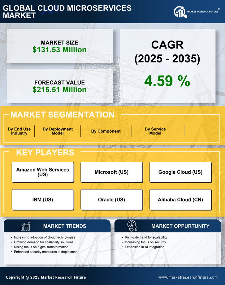 South America Cloud Microservices Market Research Report-Forecast to 2035 Infographic