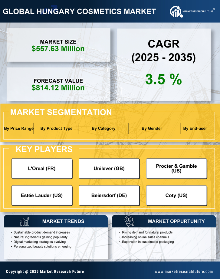 Hungary Cosmetics Market Research Report – Forecast Till 2035 Infographic