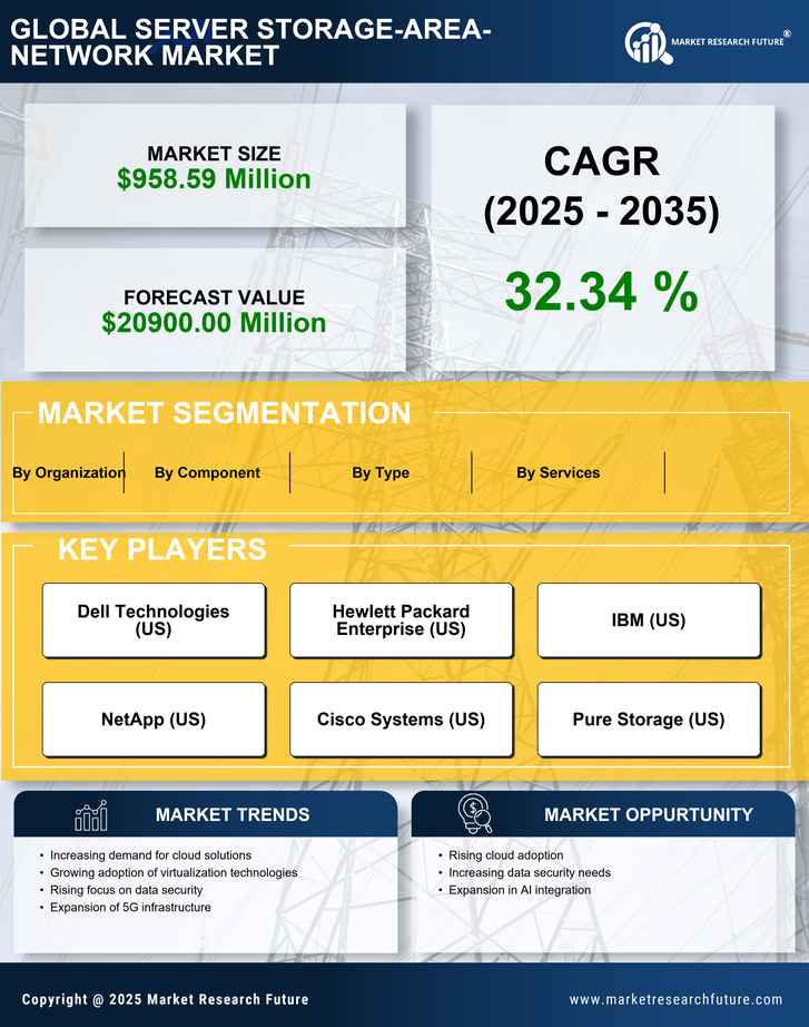 China Server Storage Area Network Market Research Report-Forecast to 2035 Infographic