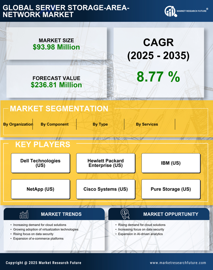 Spain Server Storage Area Network Market Research Report-Forecast to 2035 Infographic
