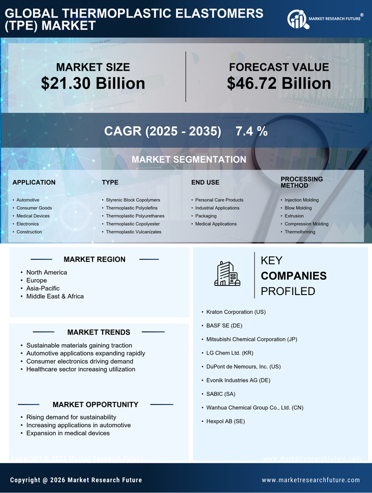 Thermoplastic Elastomers (TPE) Market Research Report – Forecast to 2035 Infographic