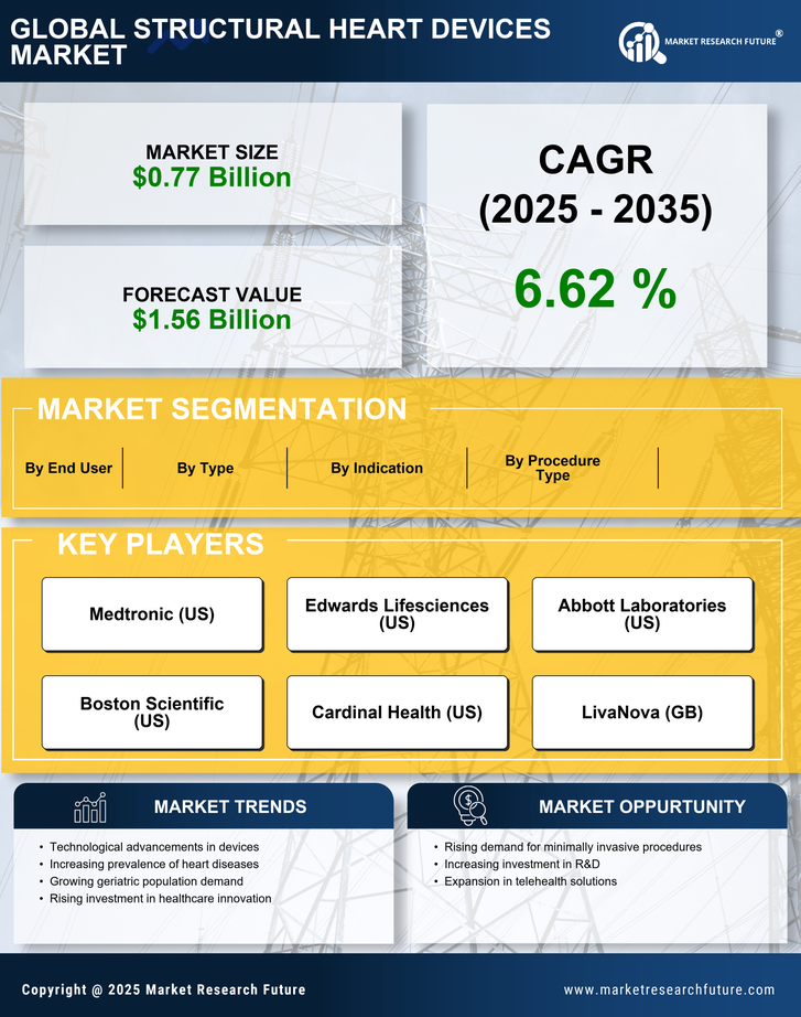 Structural Heart Devices Market Research Report – Forecast to 2035 Infographic
