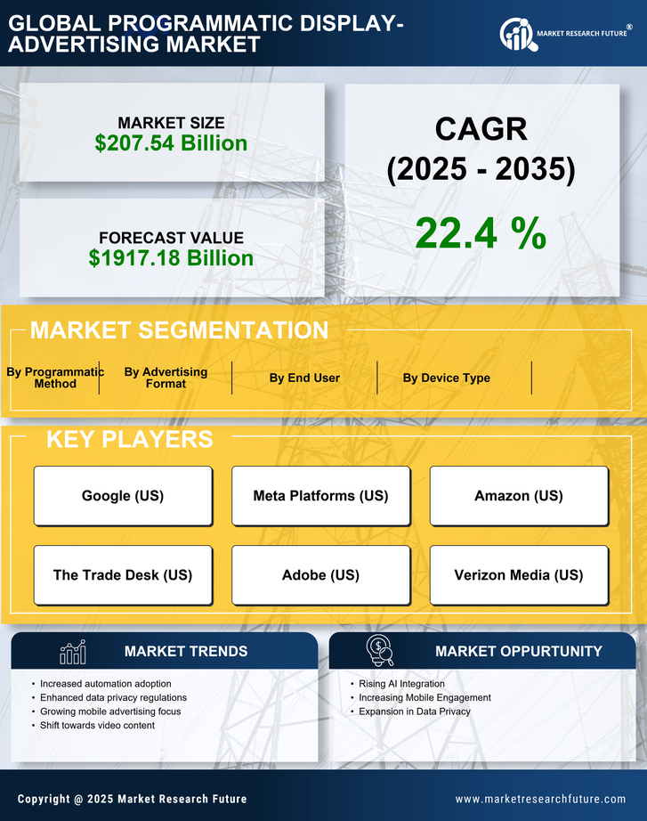 US Programmatic Display Advertising Market Research Report- Forecast to 2035 Infographic