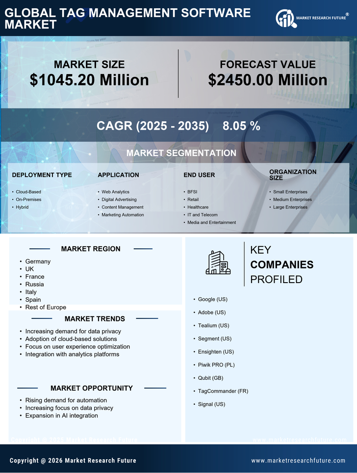 Europe Tag Management Software Market Research Report- Forecast to 2035 Infographic