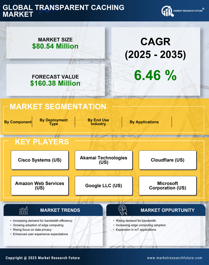 France Transparent Caching Market Research Report- Forecast to 2035 Infographic