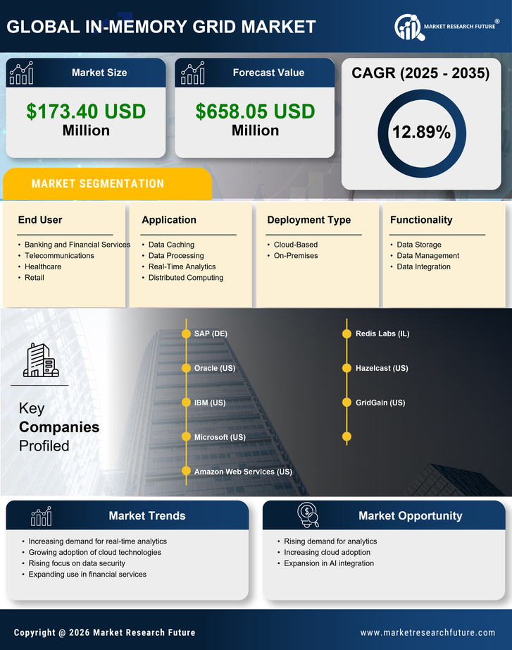 France In Memory Grid Market Research Report- Forecast to 2035 Infographic