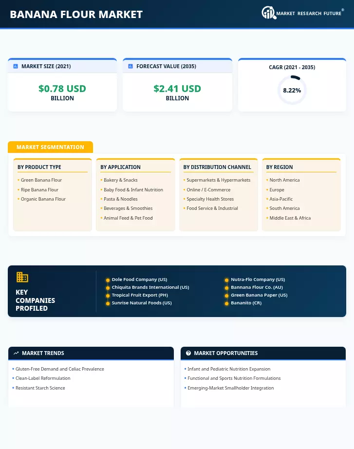 Banana Flour Market Research Report - Forecast till 2035 Infographic