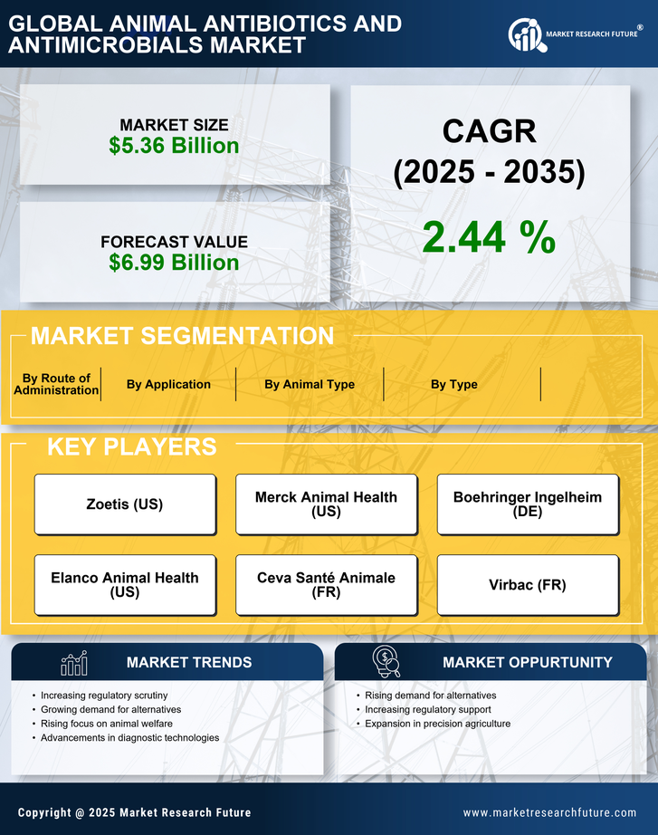 Animal Antibiotics and Antimicrobials Market Research Report - Global Forecast till 2035 Infographic