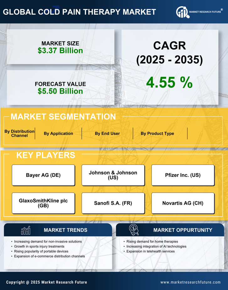 Cold Pain Therapy Market Research Report - Global Forecast till 2035 Infographic