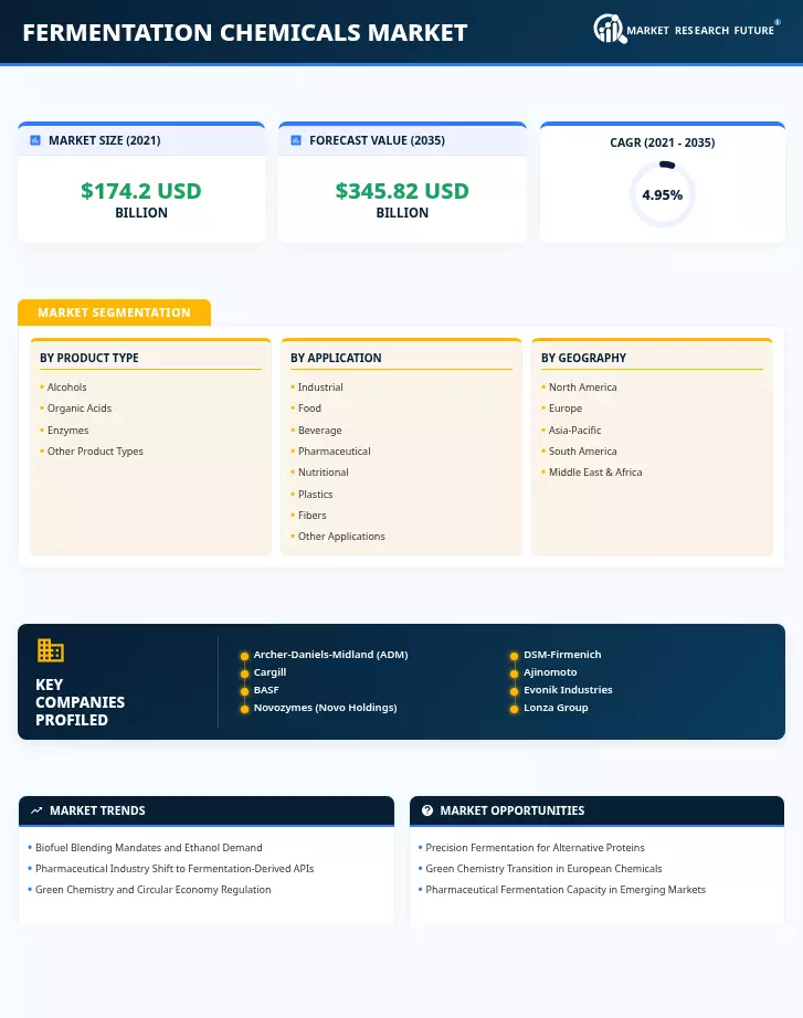 Fermentation Chemicals Market Research Report - Forecast Till 2035 Infographic