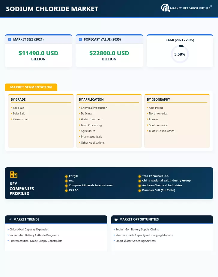 Sodium Chloride Market Research Report - Forecast till 2035 Infographic