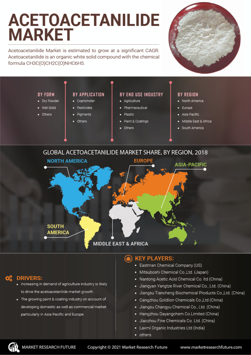 Acetoacetanilide Market