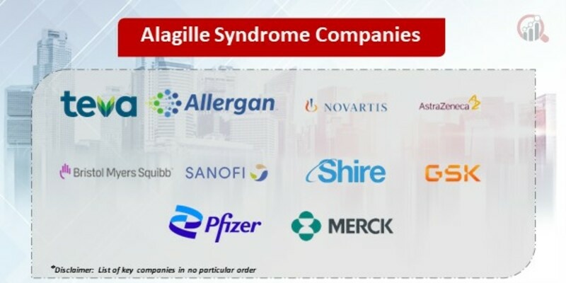 Alagille Syndrome Market 