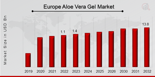 Aloe Vera Gel Market Overview