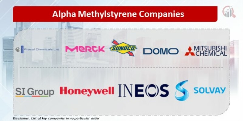 Alpha Methylstyrene Key Companies