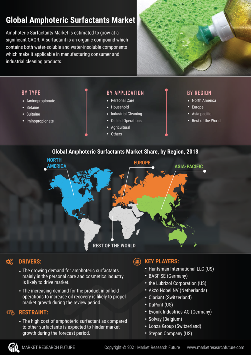 Amphoteric Surfactants Market