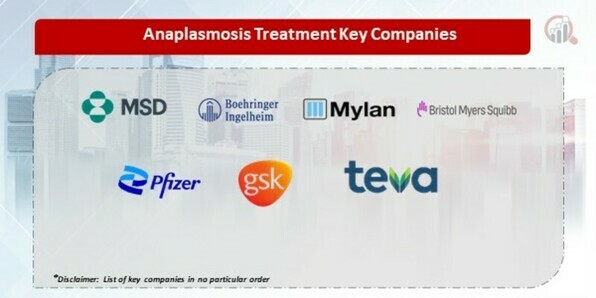 Anaplasmosis Treatment Market 