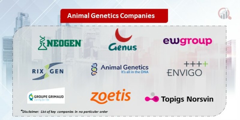 Animal Genetics Companies