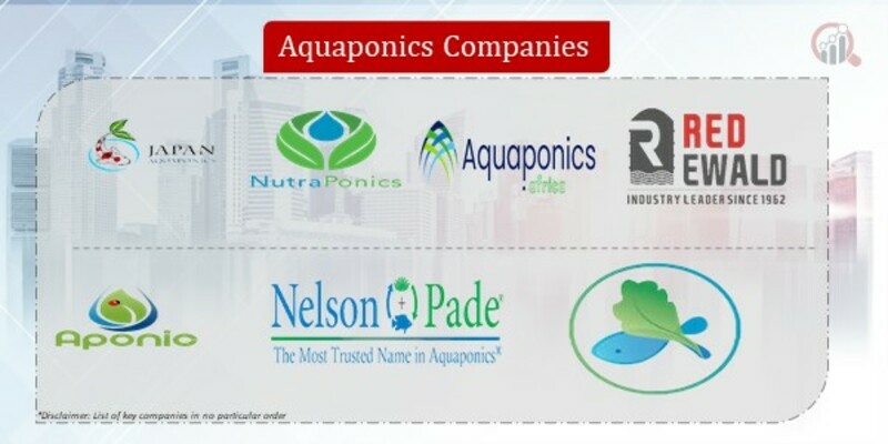 Aquaponics Company11.jpg