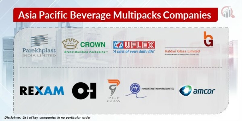 Asia Pacific Beverage Multipacks Key Companies