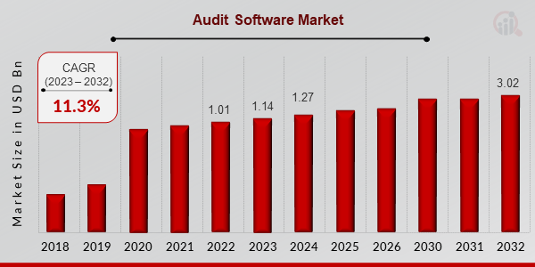 Audit Software Market Overview1